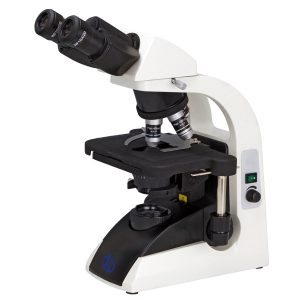 What is a Scanning Electron Microscope?