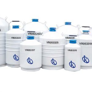 What is a liquid nitrogen container?