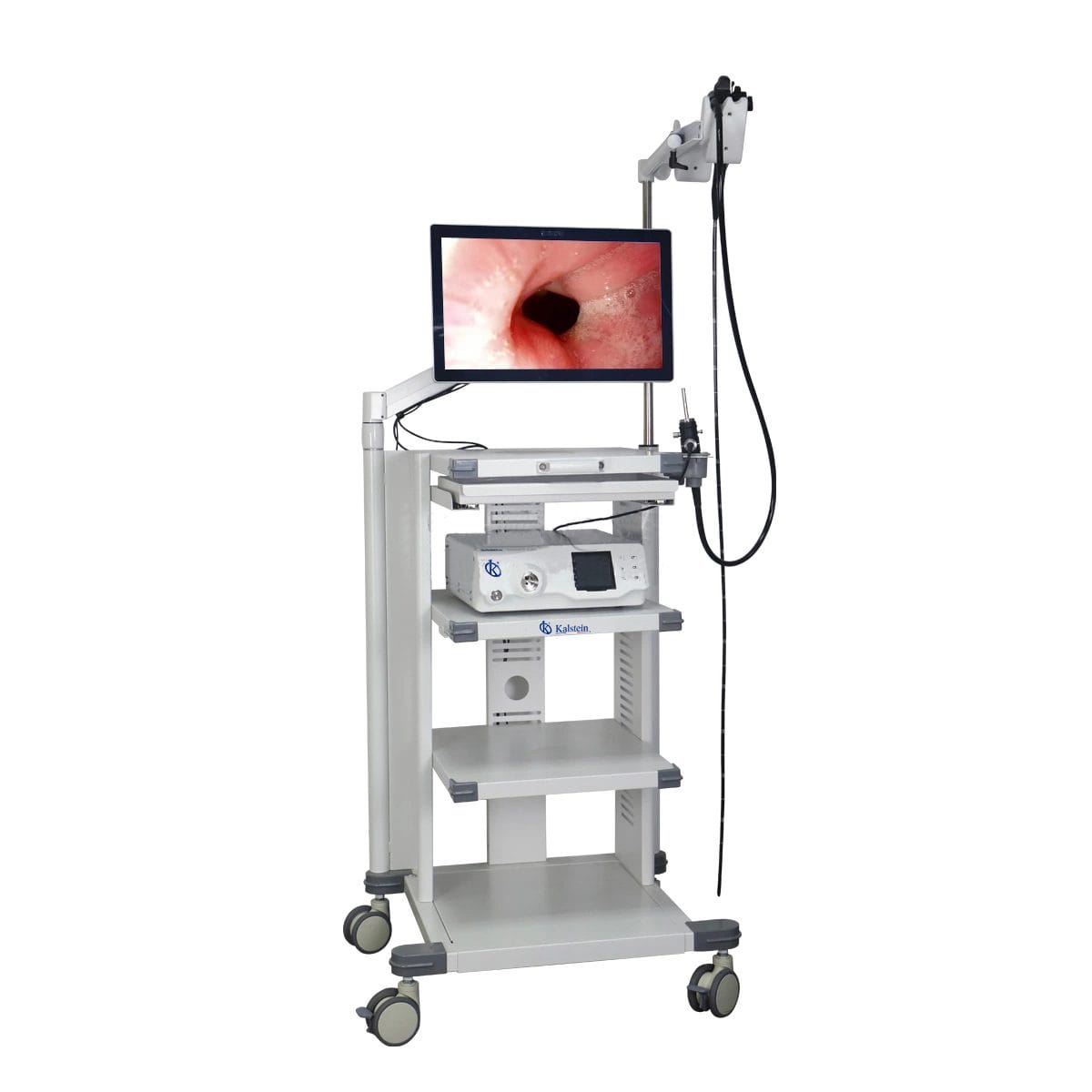 Revolutionizing Animal Care: The Veterinary Video Endoscope Experience