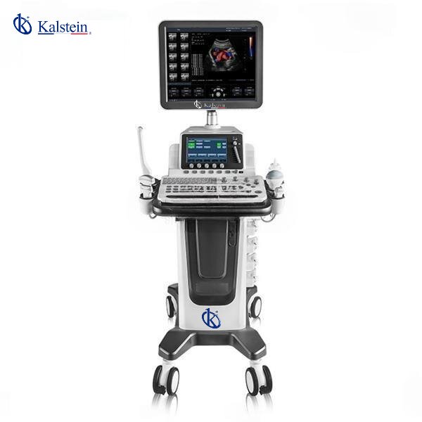 Veterinary Color Doppler: The Best Ally for Cardiac Diagnostics