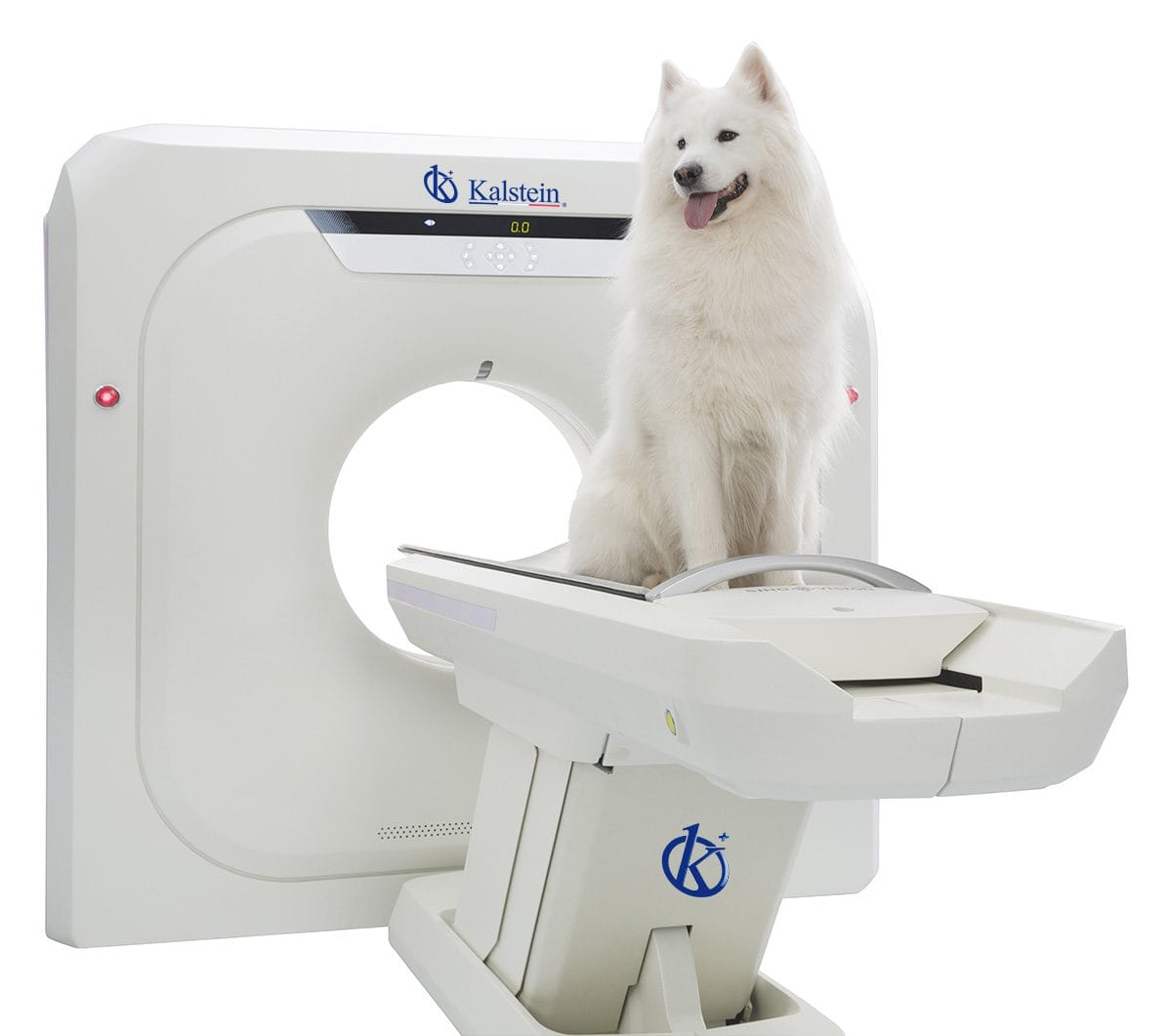 Exploring Veterinary CT Scanners: Precision, Performance, and Practicality