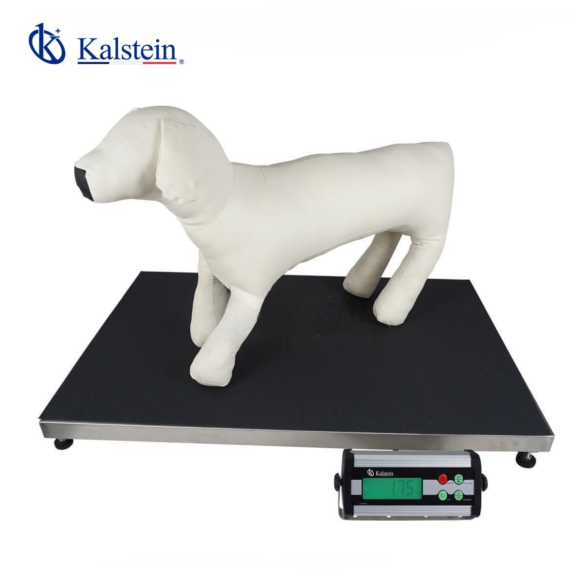 Enhancing Veterinary Care with Precision: A Comprehensive Insight into Veterinary Balances by Kalstein