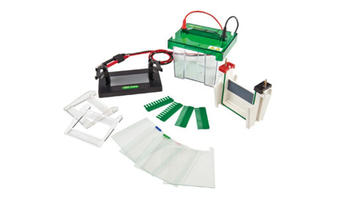 Vertical Electrophoresis: Common Mistakes and How to Avoid Them in Daily Operation 2026